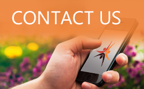Link image for Contact Us