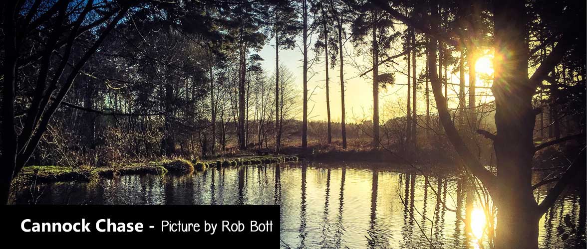 A picture of Cannock Chase taken by church family member Rob Bott