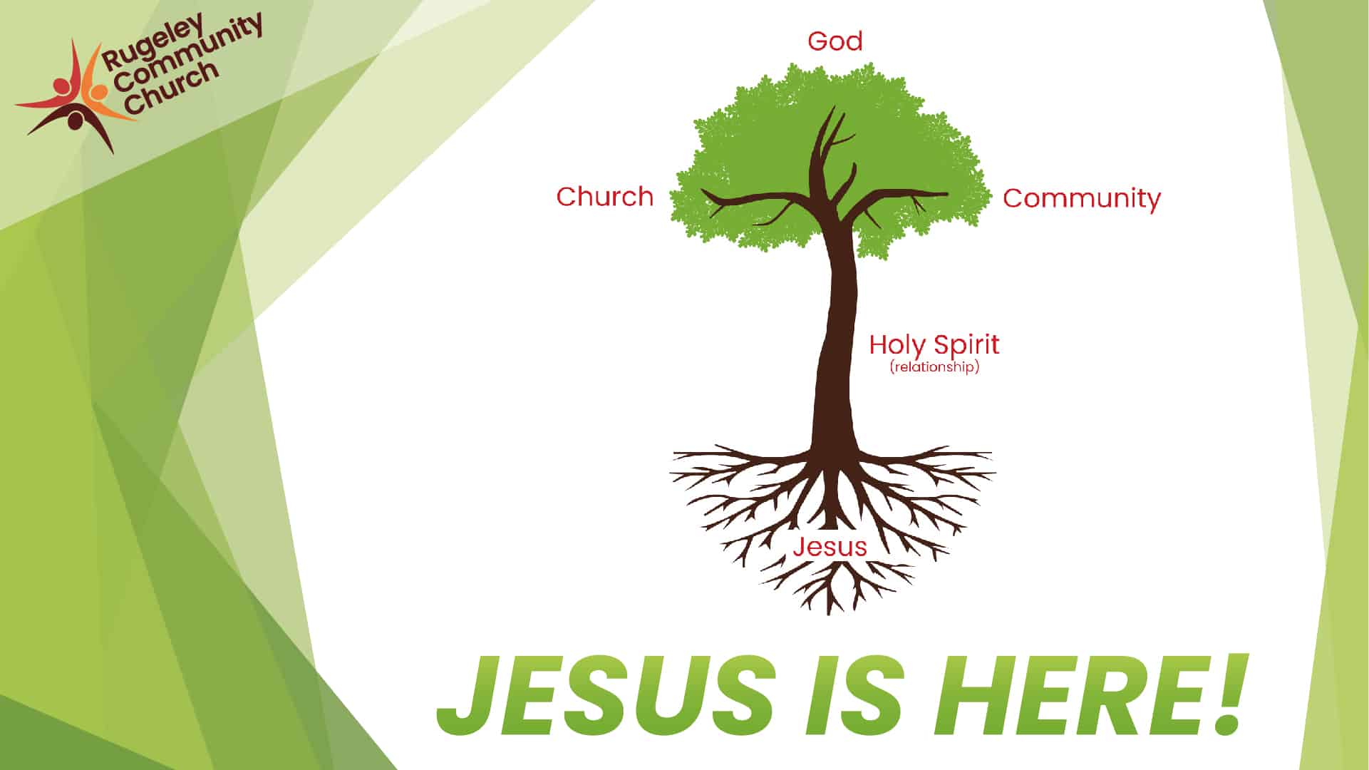 An image showing The Kingdom Tree, Rooted in Jesus, Holy Spirit is the Trunk giving life to the fruit, the fruit is in 3 parts, Church, God and Community.